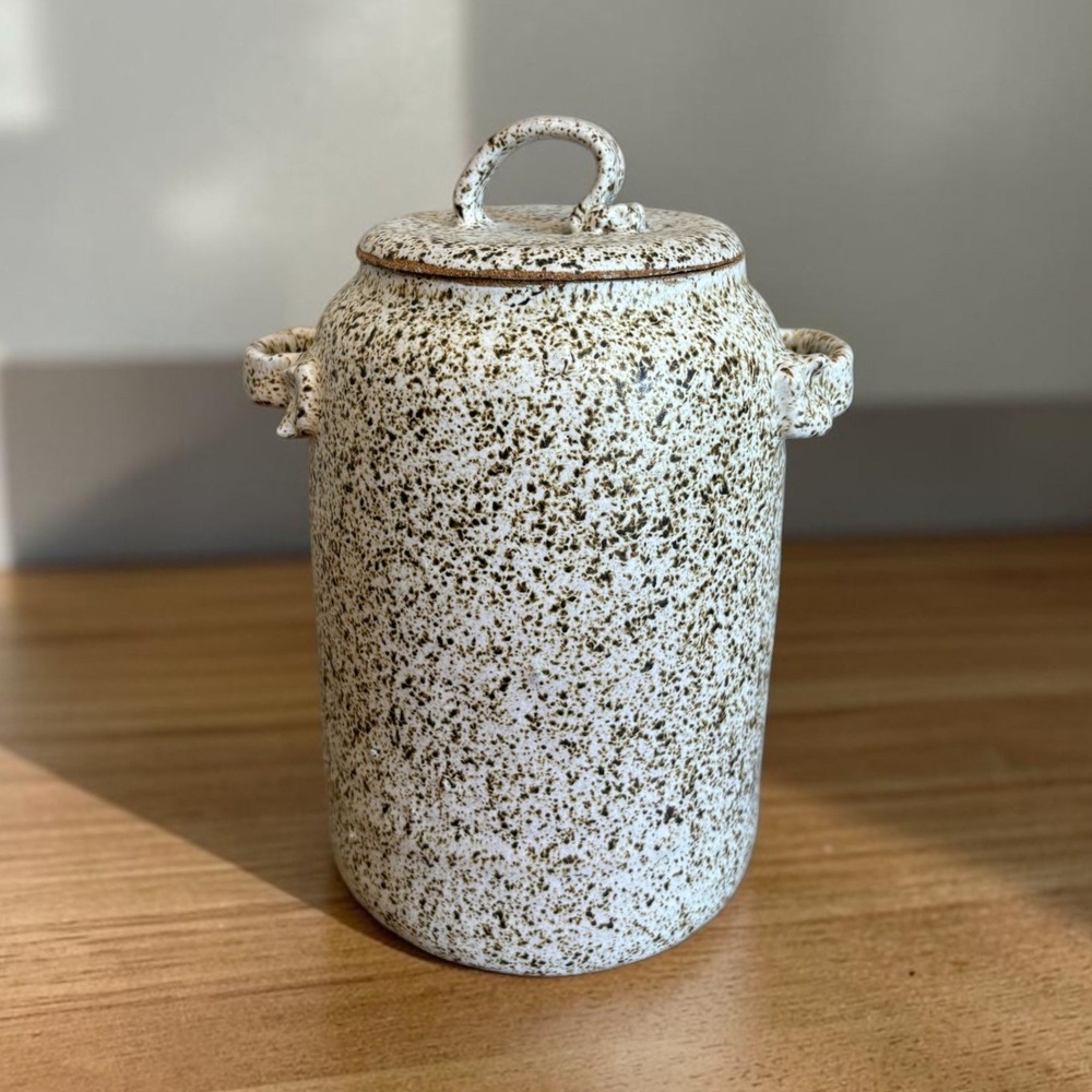 Handmade Speckled Ceramic Lidded Canister Rustic Stoneware Jar with Handles 10"